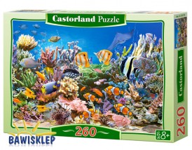  Castorland Jigsaw Puzzle 260 el. Seria : 260