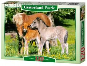  Castorland Jigsaw Puzzle Seria : 120